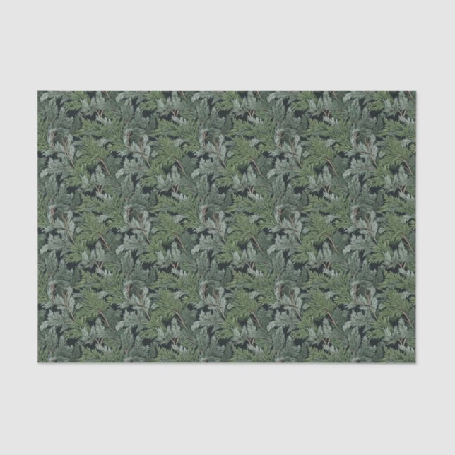 Frosted Green Twigs Tissue Paper (Front)