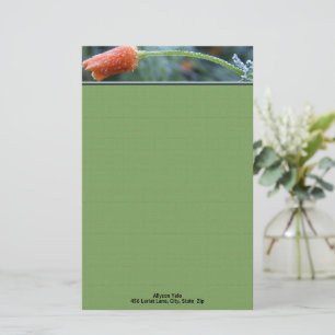 Frosted Orange California Poppy Personalised  Stationery