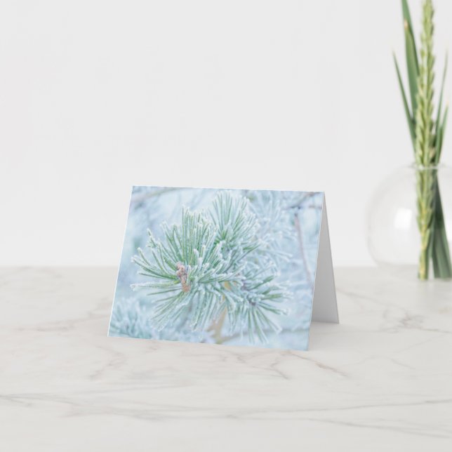 Frosted Pine Card (Front)