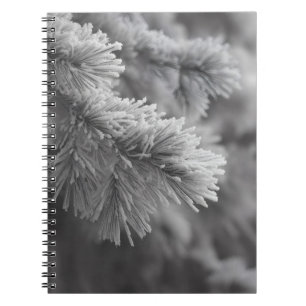 Frosted Pine Winter Branch Notebook