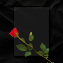 Frosted Plastic 5"x7" Blank Wedding