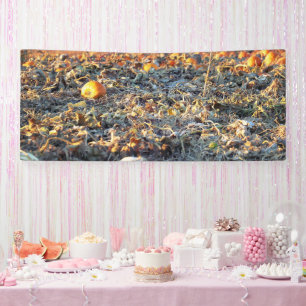 Frosted Pumpkin Patch Banner