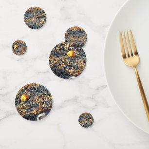Frosted Pumpkin Patch  Confetti