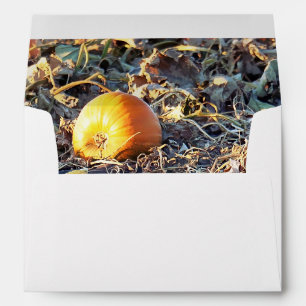 Frosted Pumpkin Patch Envelope