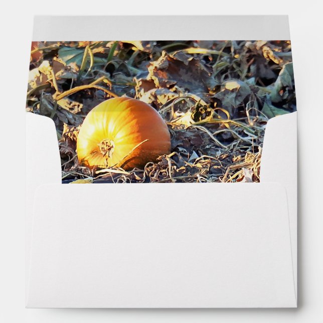 Frosted Pumpkin Patch  Envelope (Back (Bottom))