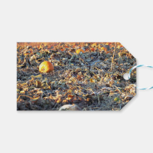 Frosted Pumpkin Patch Gift Tags