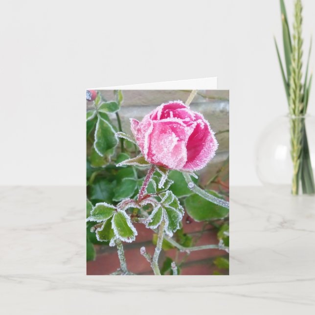 Frosted Rose Blank card (Front)