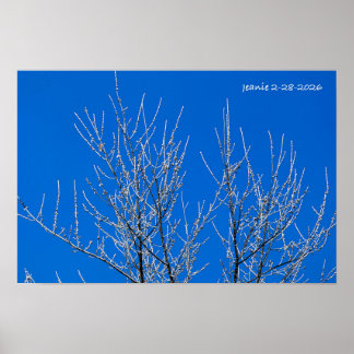 Frosted Tree Poster