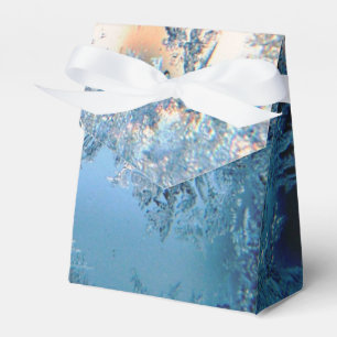 Frosted View Favour Box