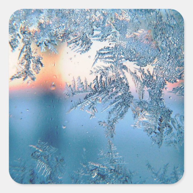 Frosted View Square Sticker (Front)