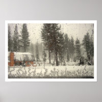 Frosted Window