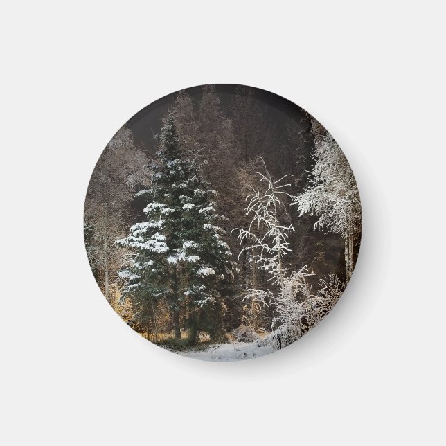 Frosted Winter Forest Aesthetic Magnet (Front)