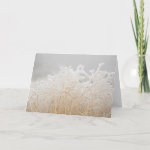 Frosted Winter Grases Card
