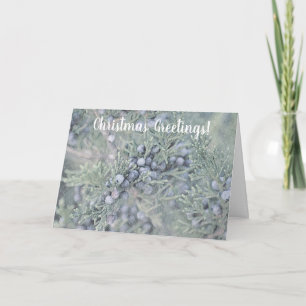 Frosty Blue Berries Christmas Holiday Card