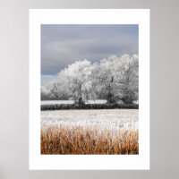 Frosty fields and trees