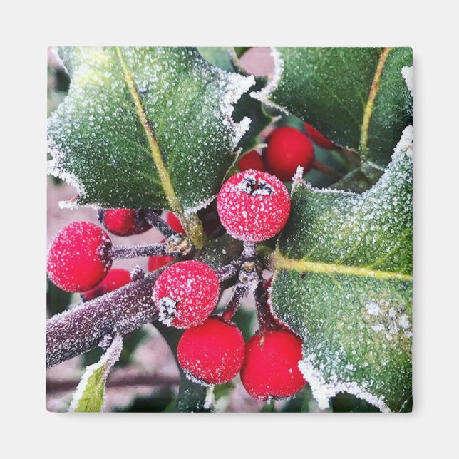 Frosty Holly Magnet (Front)