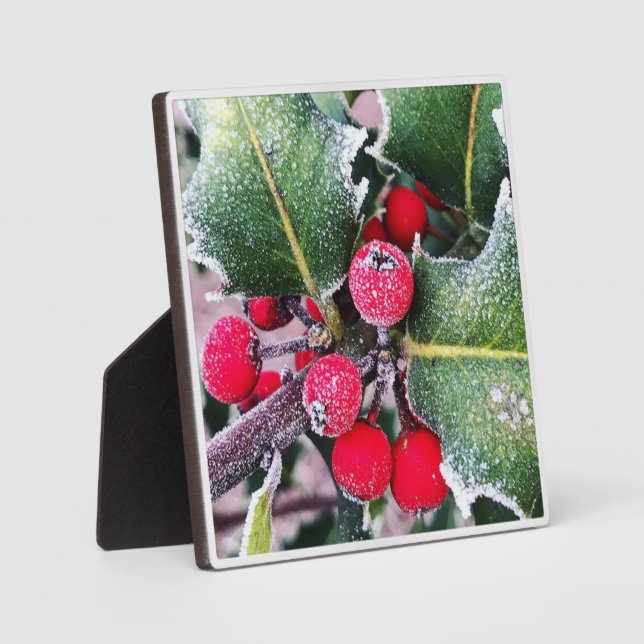 Frosty Holly Plaque (Front)