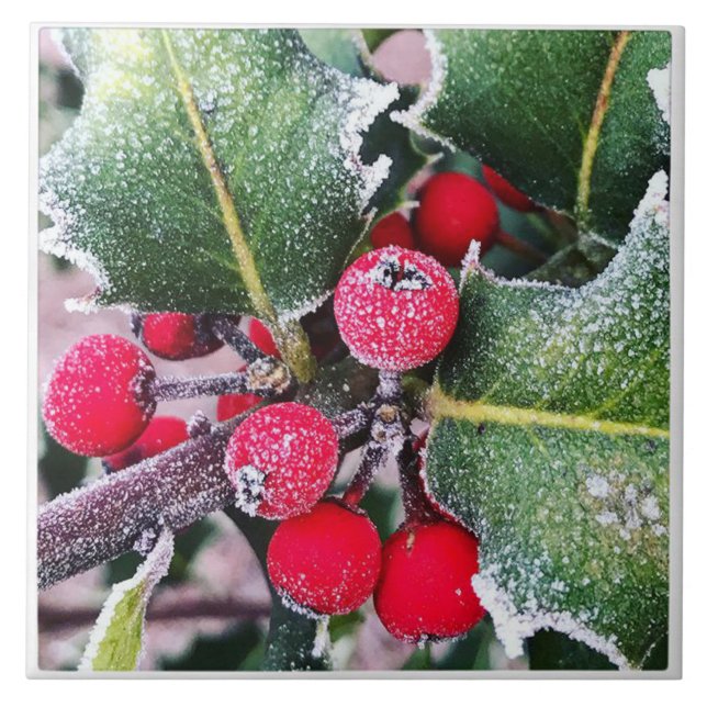 Frosty Holly Tile (Front)