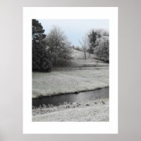 Frosty landscape