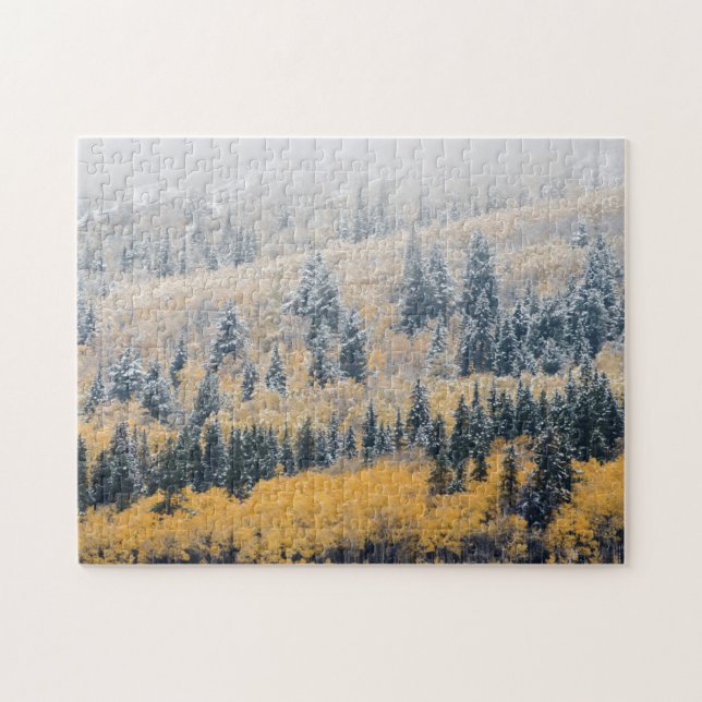 Frosty Larch Trees in Fall Colors Jigsaw Puzzle (Horizontal)