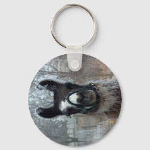 Frosty Llama Key Ring