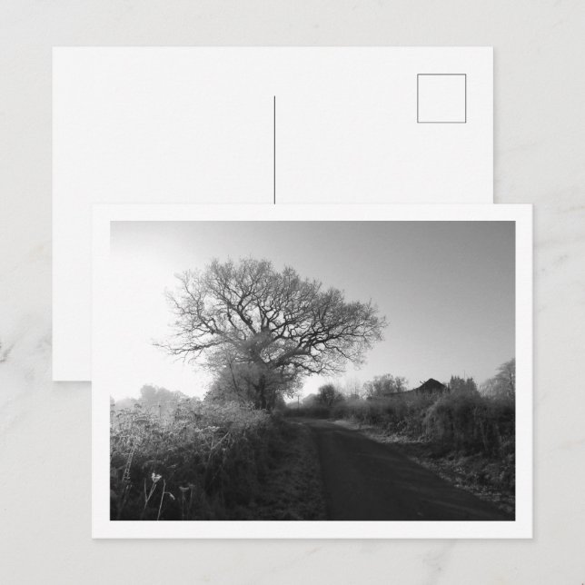 Frosty Morning: Cheshire Postcard (Front/Back)