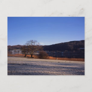 Frosty morning Esthwaite Water Cumbria England Postcard