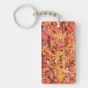 Frosty morning, Mill Creek, WA, USA Key Ring