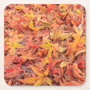 Frosty morning, Mill Creek, WA, USA Square Paper Coaster