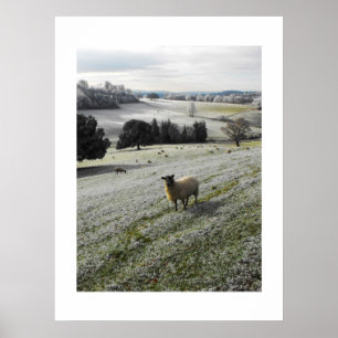 Frosty morning poster
