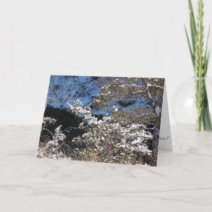 "Frosty Pines" Christmas Card