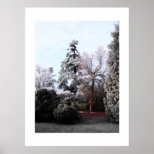 Frosty trees poster