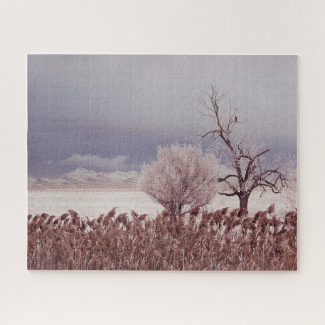 Frosty Utah Mountain Morning - 16x20 - 520 pc Jigsaw Puzzle (Horizontal)