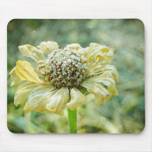Frosty Zinna Mouse Pad (Front)