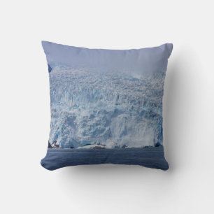 Frozen Beauty Cushion