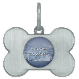Frozen Beauty Pet Name Tag