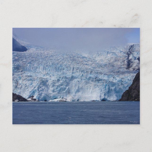 Frozen Beauty Postcard (Front)