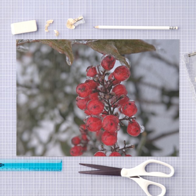 Frozen Berries on a Tree Branch Photo Tissue Paper (Craft)
