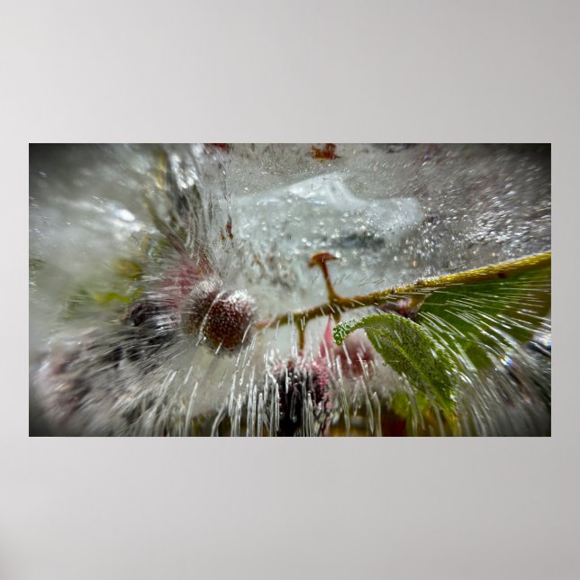 Frozen Berries,  Poster (Front)