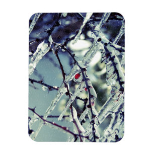 Frozen Berry Premium Magnet
