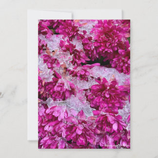 Frozen Blossoms Holiday Card