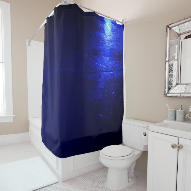 FROZEN BLUE SHOWER CURTAIN (In Situ)