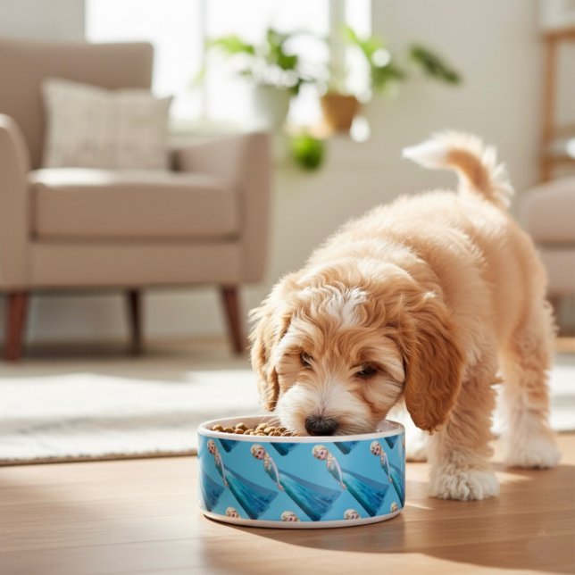 Frozen Bowl (Creator Uploaded)