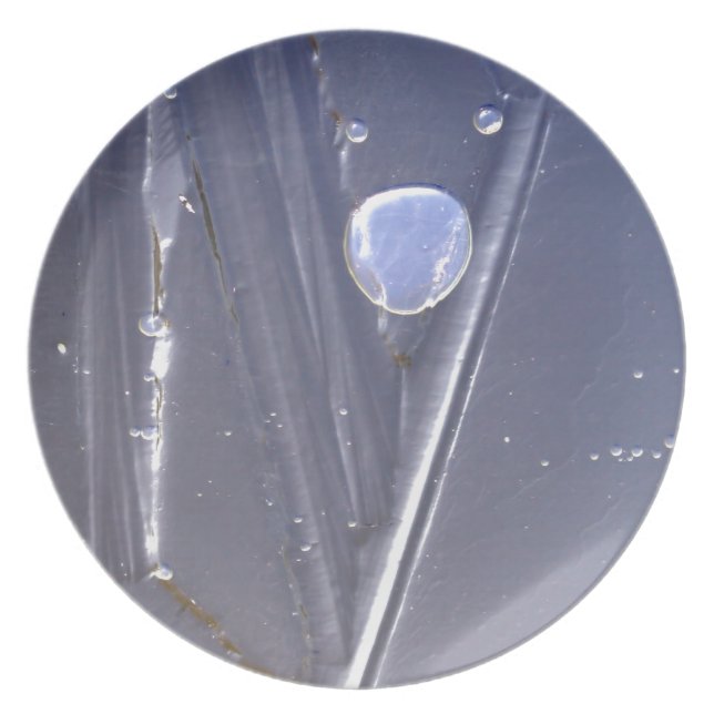 Frozen bubble plate (Front)