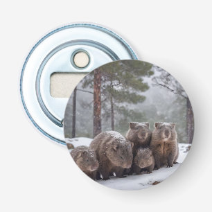 Frozen Burrow: Australian Wombat Family Bottle Opener