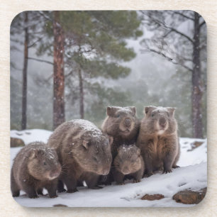 Frozen Burrow: Australian Wombat Family Coaster