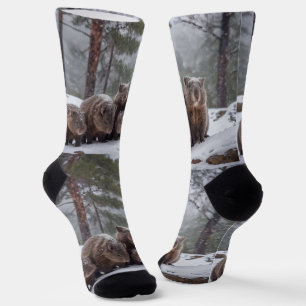 Frozen Burrow: Australian Wombat Family,  Socks
