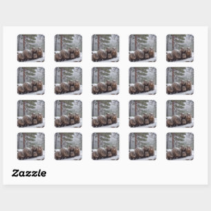 Frozen Burrow: Australian Wombat Family Square Sticker