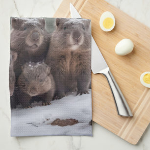 Frozen Burrow: Australian Wombat Family Tea Towel