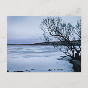 Frozen Cayuga Lake Postcard